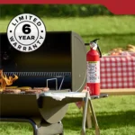 2.5 lb ABC Fire Extinguisher for Home | Flamerex - Image 10